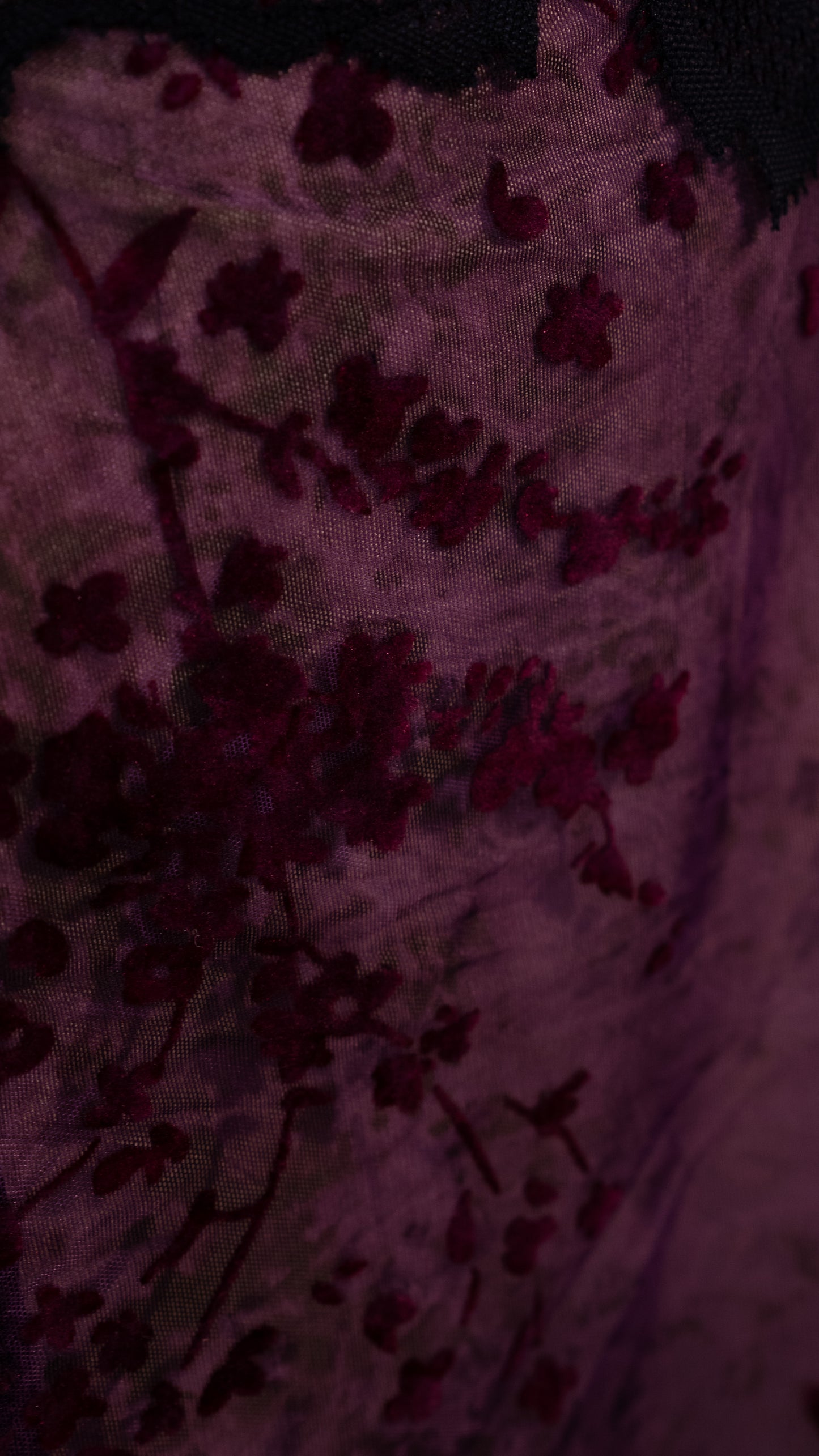 Nocturnal Muse Lace Gown